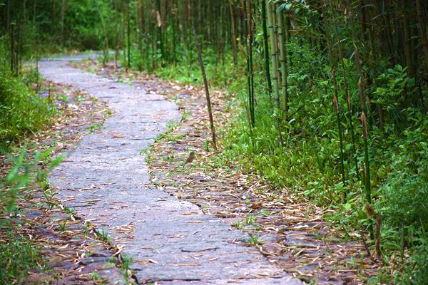 高阳县10家纺织企业亮相上海家纺展