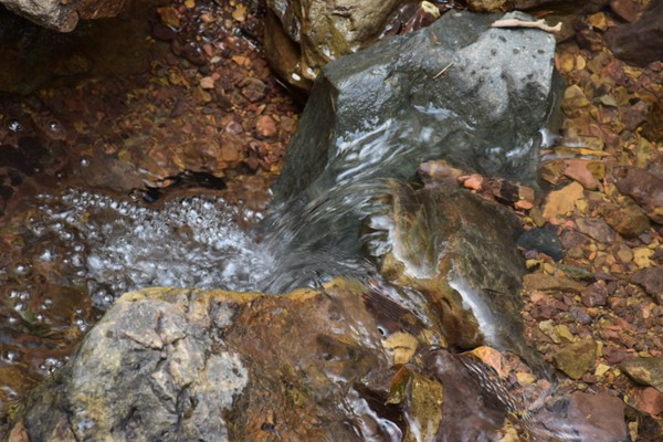 新局启幕忆来路 | 2025产业用纺织品行业大事盘点