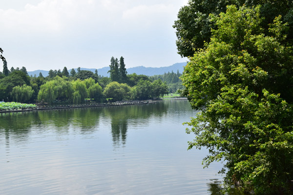 聚焦 | 2026马年“年货节”提上日程，“即时悦己”成年货消费新逻辑