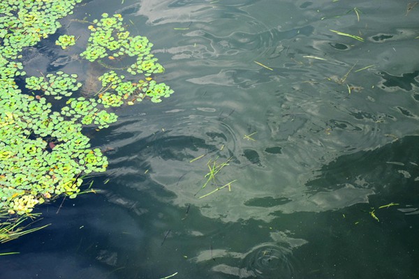 PFAS合规性挑战：品牌与面料生产企业对策